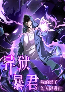 风与铁皮飞机动漫番剧海报